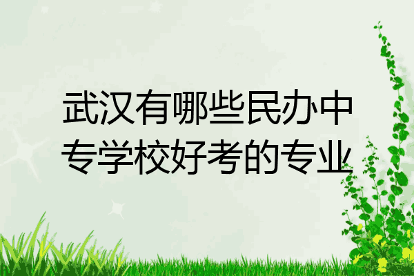 武汉有哪些民办中专学校好考的专业