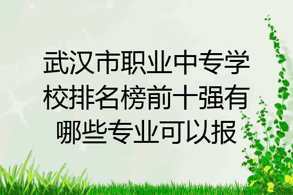 武汉市职业中专学校排名榜前十强有哪些专业可以报