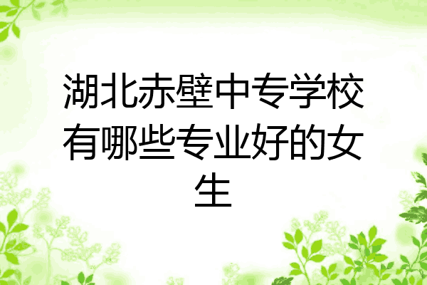 湖北赤壁中专学校有哪些专业好的女生