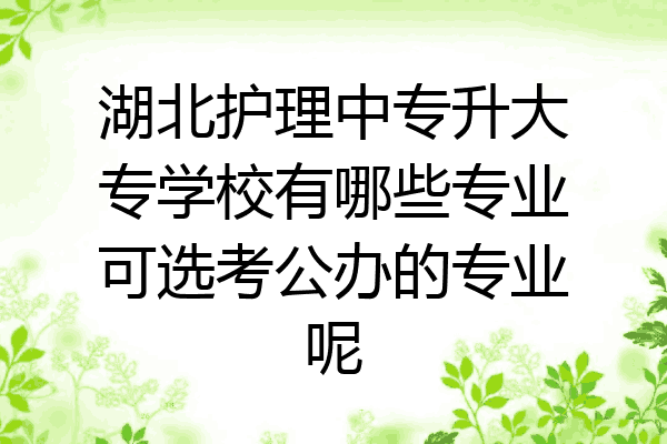 湖北护理中专升大专学校有哪些专业可选考公办的专业呢