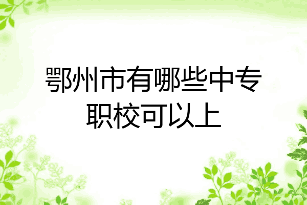 鄂州市有哪些中专职校可以上