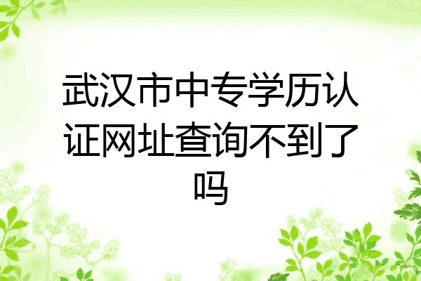 武汉市中专学历认证网址查询不到了吗