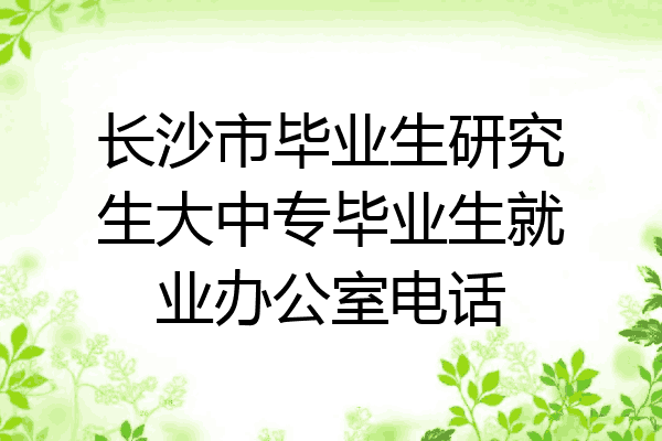 长沙市毕业生研究生大中专毕业生就业办公室电话
