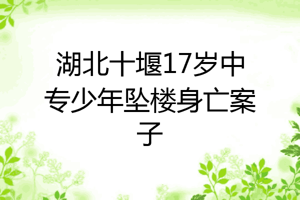 湖北十堰17岁中专少年坠楼身亡案子