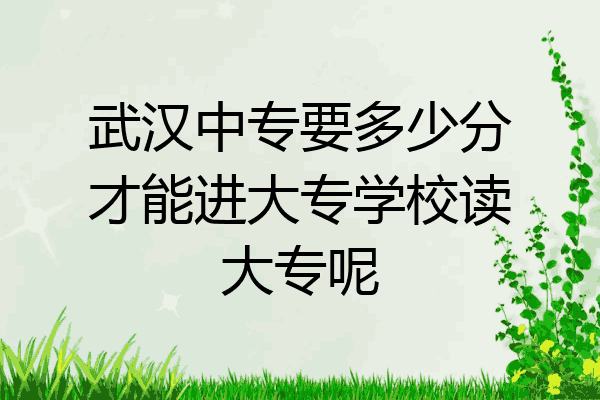武汉中专要多少分才能进大专学校读大专呢