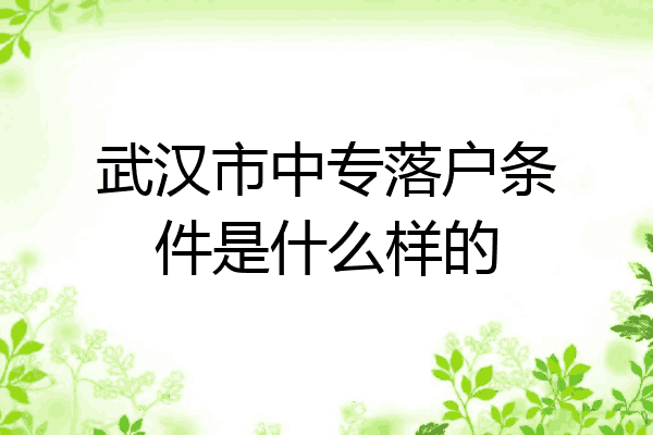 武汉市中专落户条件是什么样的