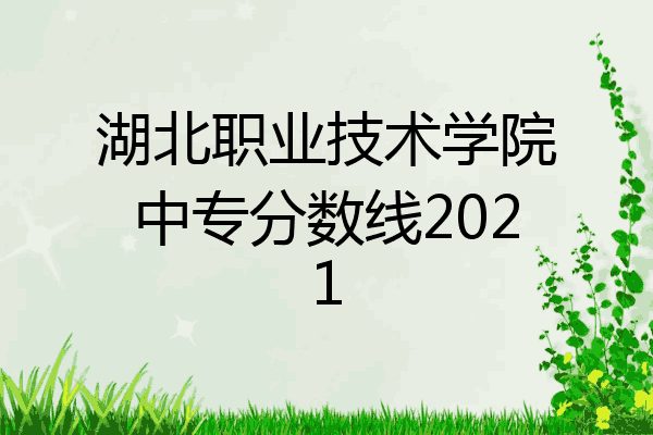 湖北职业技术学院中专分数线2021