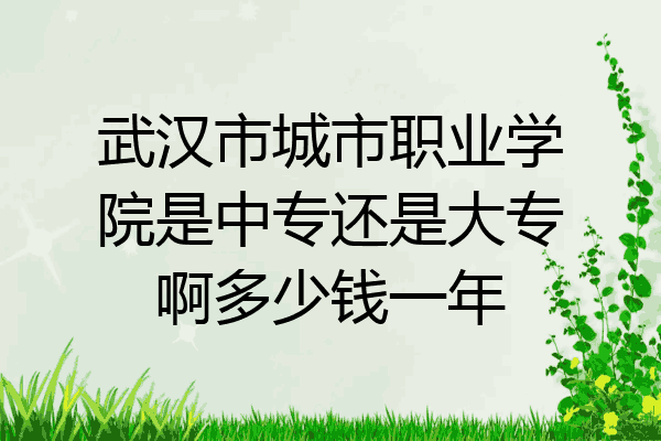 武汉市城市职业学院是中专还是大专啊多少钱一年