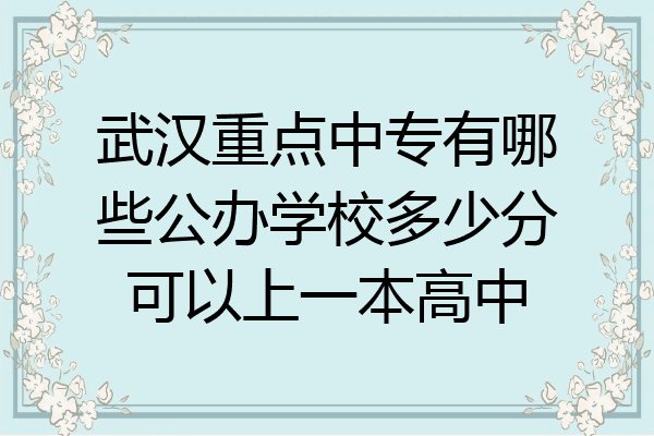 武汉重点中专有哪些公办学校多少分可以上一本高中