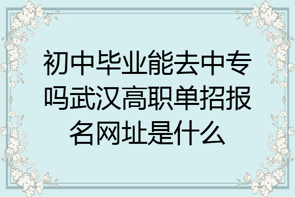 初中毕业能去中专吗武汉高职单招报名网址是什么