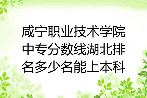 咸宁职业技术学院中专分数线湖北排名多少名能上本科