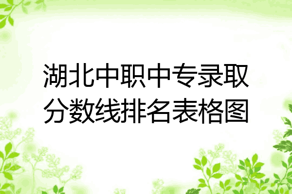 湖北中职中专录取分数线排名表格图