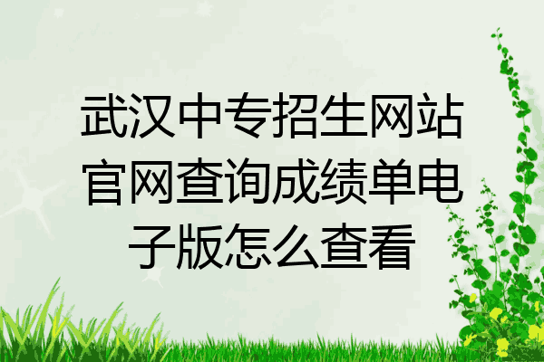 武汉中专招生网站官网查询成绩单电子版怎么查看