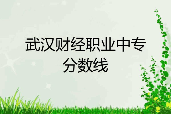 武汉财经职业中专分数线