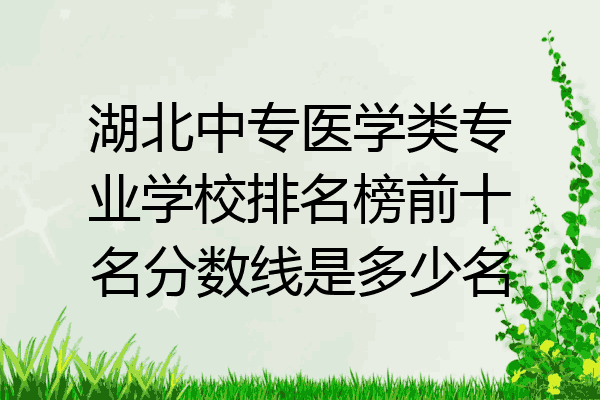 湖北中专医学类专业学校排名榜前十名分数线是多少名