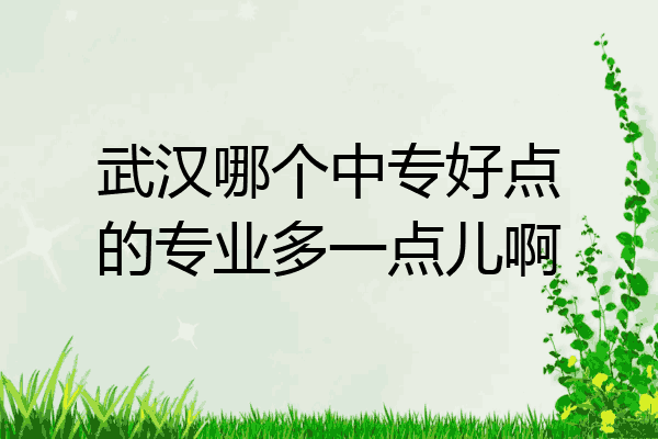武汉哪个中专好点的专业多一点儿啊