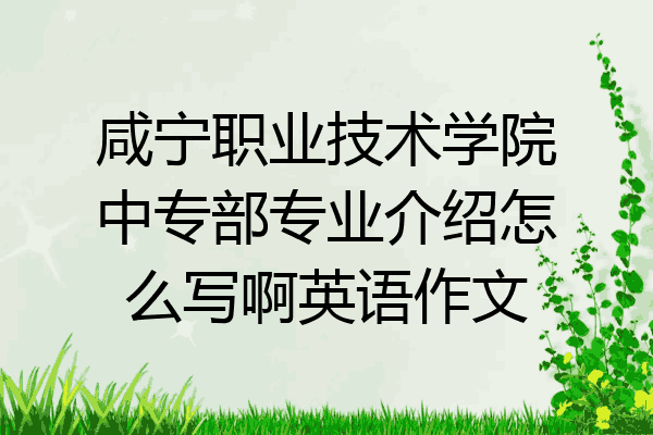 咸宁职业技术学院中专部专业介绍怎么写啊英语作文