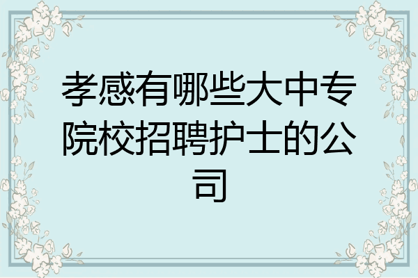 孝感有哪些大中专院校招聘护士的公司