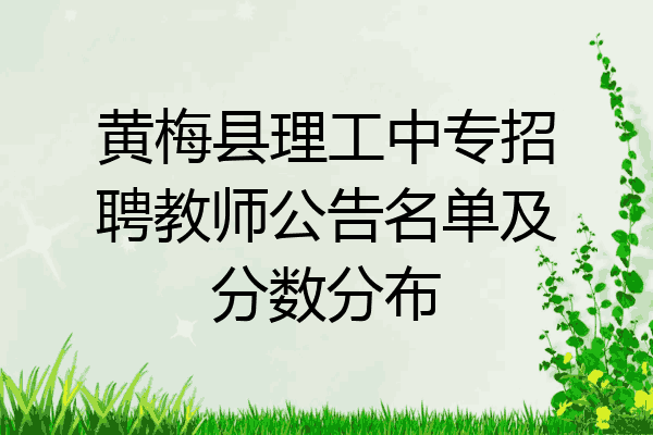 黄梅县理工中专招聘教师公告名单及分数分布