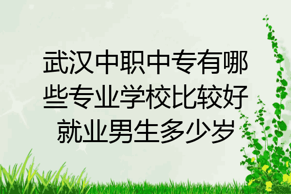 武汉中职中专有哪些专业学校比较好就业男生多少岁