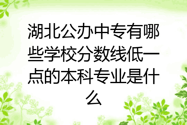 湖北公办中专有哪些学校分数线低一点的本科专业是什么