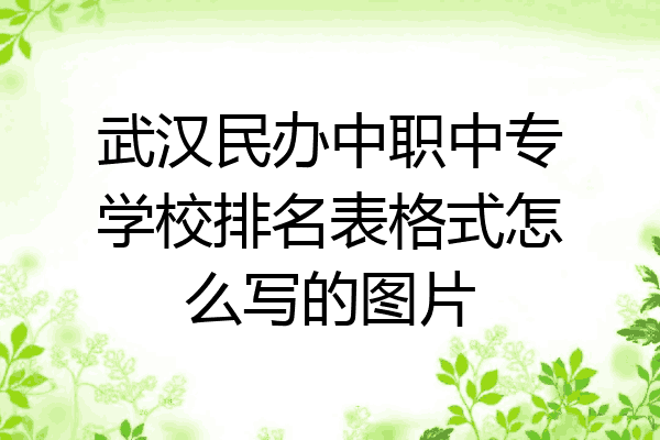 武汉民办中职中专学校排名表格式怎么写的图片