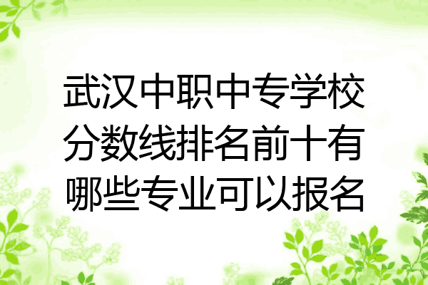武汉中职中专学校分数线排名前十有哪些专业可以报名