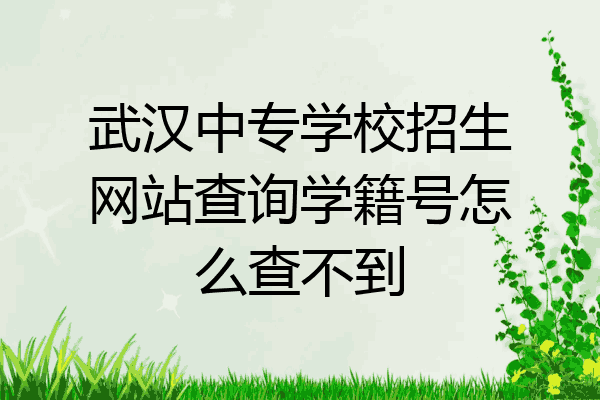 武汉中专学校招生网站查询学籍号怎么查不到