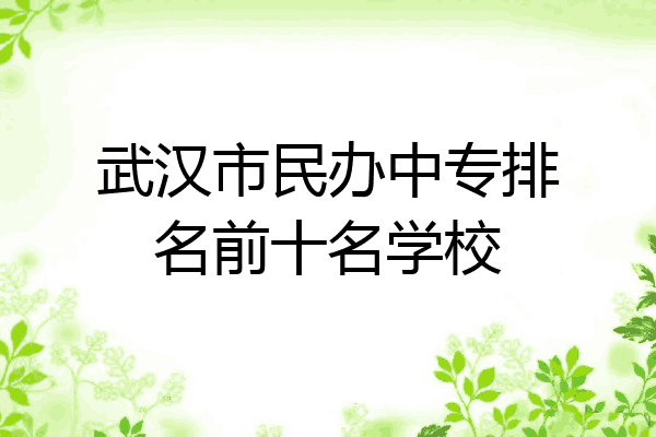 武汉市民办中专排名前十名学校