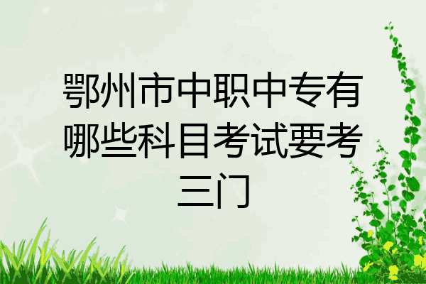 鄂州市中职中专有哪些科目考试要考三门