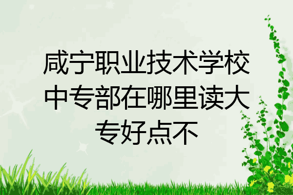 咸宁职业技术学校中专部在哪里读大专好点不