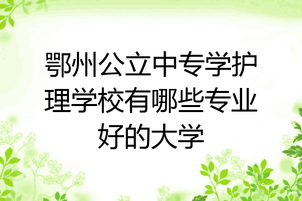 鄂州公立中专学护理学校有哪些专业好的大学