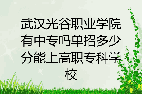 武汉光谷职业学院有中专吗单招多少分能上高职专科学校