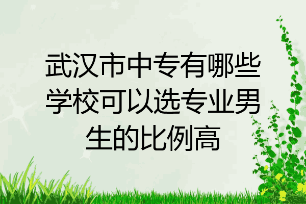 武汉市中专有哪些学校可以选专业男生的比例高