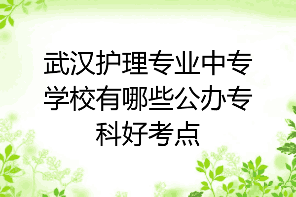 武汉护理专业中专学校有哪些公办专科好考点