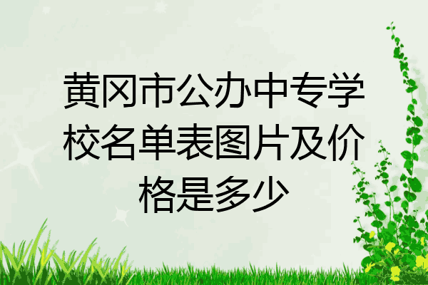 黄冈市公办中专学校名单表图片及价格是多少