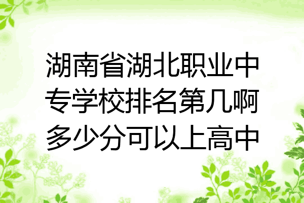 湖南省湖北职业中专学校排名第几啊多少分可以上高中