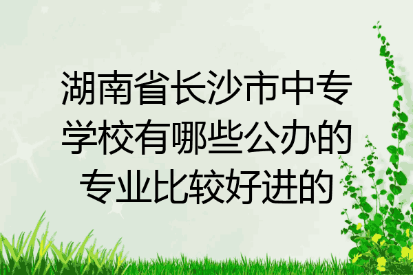湖南省长沙市中专学校有哪些公办的专业比较好进的