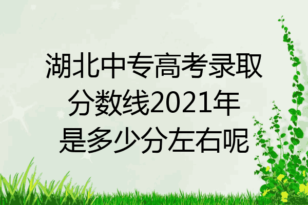 湖北中专高考录取分数线2021年是多少分左右呢