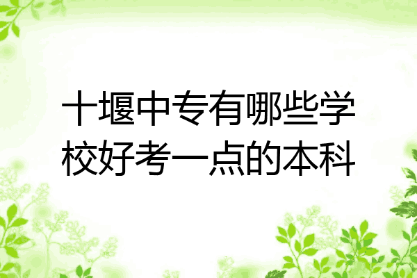 十堰中专有哪些学校好考一点的本科