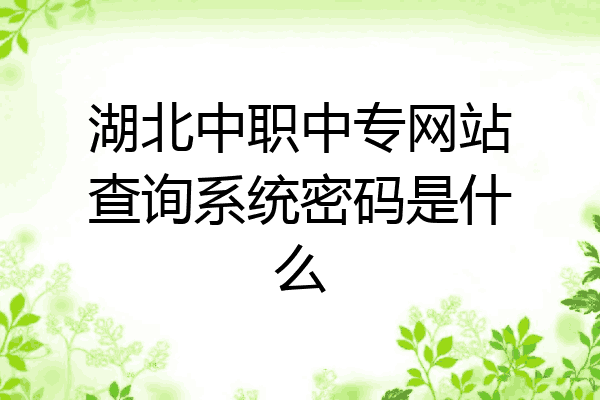 湖北中职中专网站查询系统密码是什么