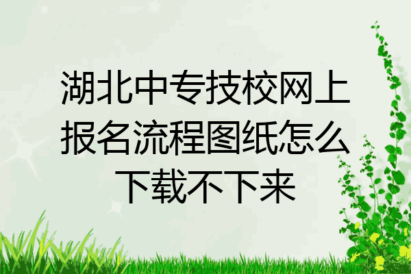 湖北中专技校网上报名流程图纸怎么下载不下来