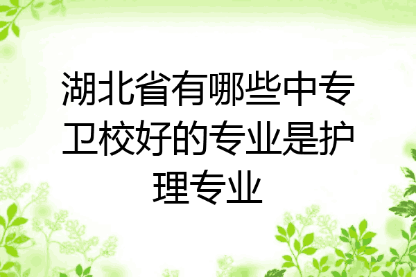 湖北省有哪些中专卫校好的专业是护理专业