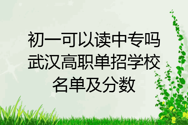 初一可以读中专吗武汉高职单招学校名单及分数