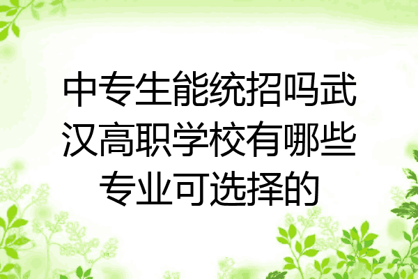 中专生能统招吗武汉高职学校有哪些专业可选择的
