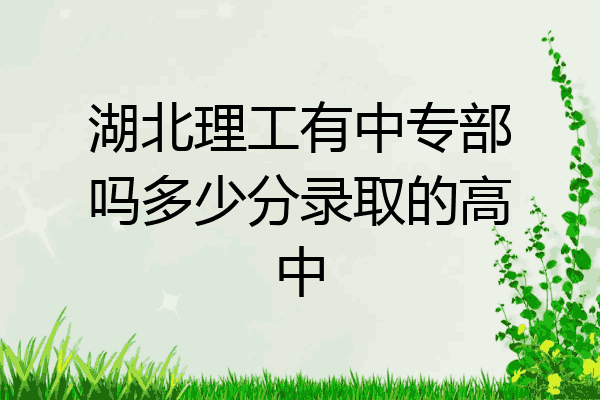 湖北理工有中专部吗多少分录取的高中
