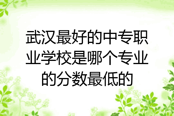 武汉最好的中专职业学校是哪个专业的分数最低的