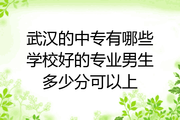 武汉的中专有哪些学校好的专业男生多少分可以上