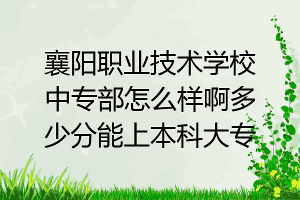 襄阳职业技术学校中专部怎么样啊多少分能上本科大专