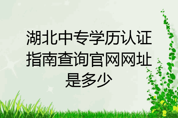 湖北中专学历认证指南查询官网网址是多少